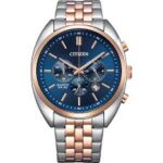 citizen quarts